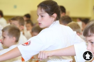 занятия каратэ для детей (48)